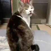 ヒメ日記 2025/08/20 10:16 投稿 ほのか 大宮おかあさん