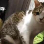 ヒメ日記 2025/09/07 10:34 投稿 ほのか 大宮おかあさん