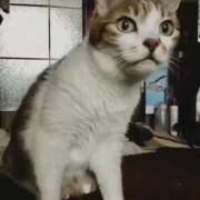 ヒメ日記 2025/09/12 10:06 投稿 ほのか 大宮おかあさん