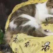 ヒメ日記 2025/09/14 10:28 投稿 ほのか 大宮おかあさん