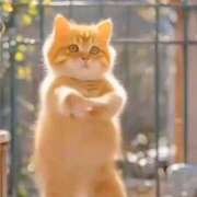 ヒメ日記 2025/09/15 22:26 投稿 ほのか 大宮おかあさん