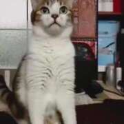 ヒメ日記 2025/10/01 17:06 投稿 ほのか 大宮おかあさん