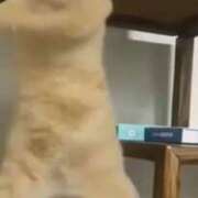 ヒメ日記 2025/10/13 11:26 投稿 ほのか 大宮おかあさん