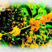 ヒメ日記 2025/10/22 15:16 投稿 ほのか 大宮おかあさん