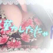 ヒメ日記 2025/11/10 13:11 投稿 ほのか 大宮おかあさん