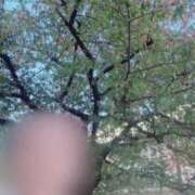 ヒメ日記 2025/11/10 13:27 投稿 ほのか 大宮おかあさん