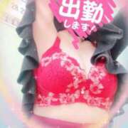 ヒメ日記 2025/11/17 11:46 投稿 ほのか 大宮おかあさん