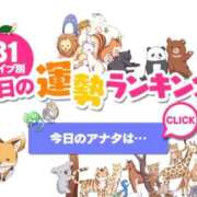 ヒメ日記 2025/11/25 00:36 投稿 ほのか 大宮おかあさん