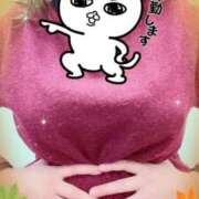 ヒメ日記 2025/12/11 11:56 投稿 ほのか 大宮おかあさん