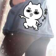 ヒメ日記 2025/12/16 11:36 投稿 ほのか 大宮おかあさん