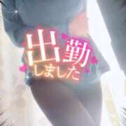 ヒメ日記 2025/12/16 12:46 投稿 ほのか 大宮おかあさん