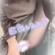 ヒメ日記 2025/12/29 12:36 投稿 ほのか 大宮おかあさん