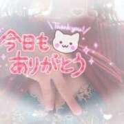 ヒメ日記 2025/12/31 16:26 投稿 ほのか 大宮おかあさん
