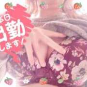 ヒメ日記 2026/01/15 11:36 投稿 ほのか 大宮おかあさん