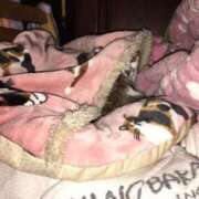 ヒメ日記 2026/02/02 06:06 投稿 ほのか 大宮おかあさん