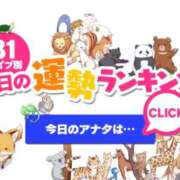 ヒメ日記 2026/02/05 00:26 投稿 ほのか 大宮おかあさん