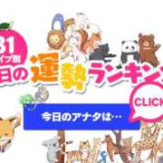ヒメ日記 2026/02/15 00:36 投稿 ほのか 大宮おかあさん