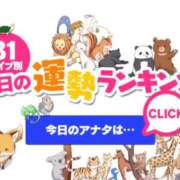 ヒメ日記 2026/02/16 01:36 投稿 ほのか 大宮おかあさん