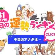 ヒメ日記 2026/02/17 00:36 投稿 ほのか 大宮おかあさん
