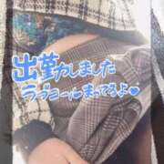 ヒメ日記 2026/02/17 12:43 投稿 ほのか 大宮おかあさん