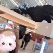 ヒメ日記 2026/02/18 20:57 投稿 ほのか 大宮おかあさん