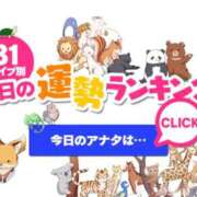 ヒメ日記 2026/03/07 03:16 投稿 ほのか 大宮おかあさん