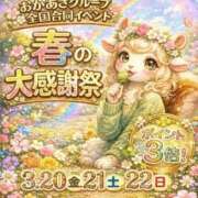 ヒメ日記 2026/03/10 14:56 投稿 ほのか 大宮おかあさん