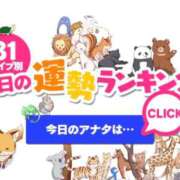 ヒメ日記 2026/03/19 01:30 投稿 ほのか 大宮おかあさん