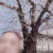 ヒメ日記 2026/03/28 12:26 投稿 ほのか 大宮おかあさん