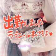 ヒメ日記 2026/03/30 12:19 投稿 ほのか 大宮おかあさん