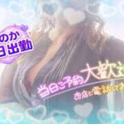 ヒメ日記 2026/04/02 11:46 投稿 ほのか 大宮おかあさん