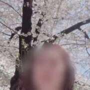 ヒメ日記 2026/04/03 12:36 投稿 ほのか 大宮おかあさん