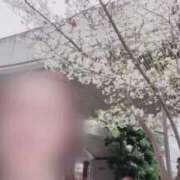 ヒメ日記 2026/04/05 12:36 投稿 ほのか 大宮おかあさん