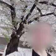 ヒメ日記 2026/04/06 12:46 投稿 ほのか 大宮おかあさん