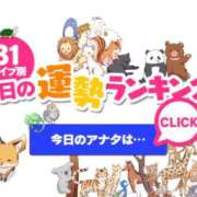 ヒメ日記 2026/04/13 01:56 投稿 ほのか 大宮おかあさん