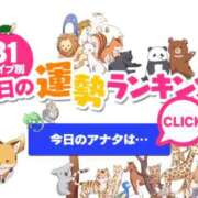 ヒメ日記 2026/05/15 00:36 投稿 ほのか 大宮おかあさん