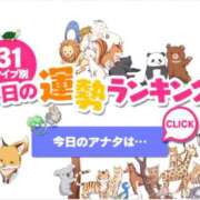 ヒメ日記 2026/05/16 00:46 投稿 ほのか 大宮おかあさん
