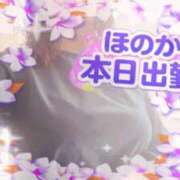 ヒメ日記 2026/05/25 11:36 投稿 ほのか 大宮おかあさん
