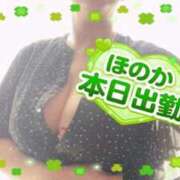 ヒメ日記 2026/05/29 11:36 投稿 ほのか 大宮おかあさん