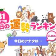 ヒメ日記 2026/06/06 00:26 投稿 ほのか 大宮おかあさん