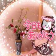 ヒメ日記 2026/06/10 19:57 投稿 ほのか 大宮おかあさん