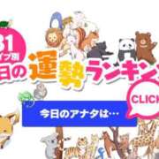 ヒメ日記 2026/07/25 00:46 投稿 ほのか 大宮おかあさん