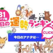 ヒメ日記 2026/08/04 00:36 投稿 ほのか 大宮おかあさん