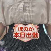 ヒメ日記 2026/08/04 09:16 投稿 ほのか 大宮おかあさん