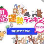 ヒメ日記 2026/08/15 00:36 投稿 ほのか 大宮おかあさん