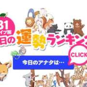 ヒメ日記 2026/08/31 00:46 投稿 ほのか 大宮おかあさん