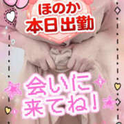 ヒメ日記 2026/10/19 12:46 投稿 ほのか 大宮おかあさん