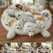 ヒメ日記 2025/09/06 11:51 投稿 かなでちゃん ちょい！ぽちゃロリ倶楽部Hip's馬橋店