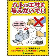 ヒメ日記 2025/10/27 12:11 投稿 かなでちゃん ちょい！ぽちゃロリ倶楽部Hip's馬橋店