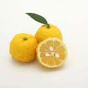 ヒメ日記 2025/12/22 14:21 投稿 かなでちゃん ちょい！ぽちゃロリ倶楽部Hip's馬橋店